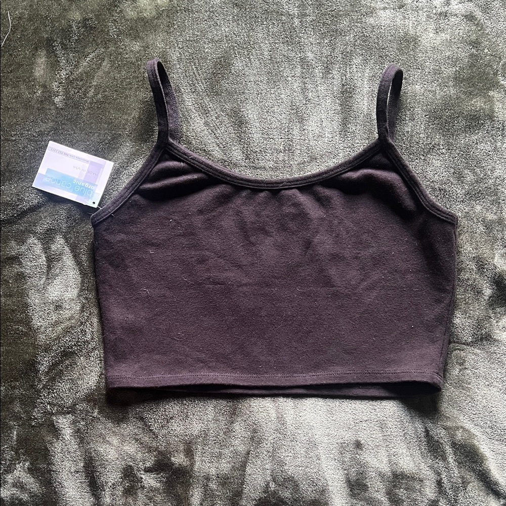 Elegant Black Crop Top